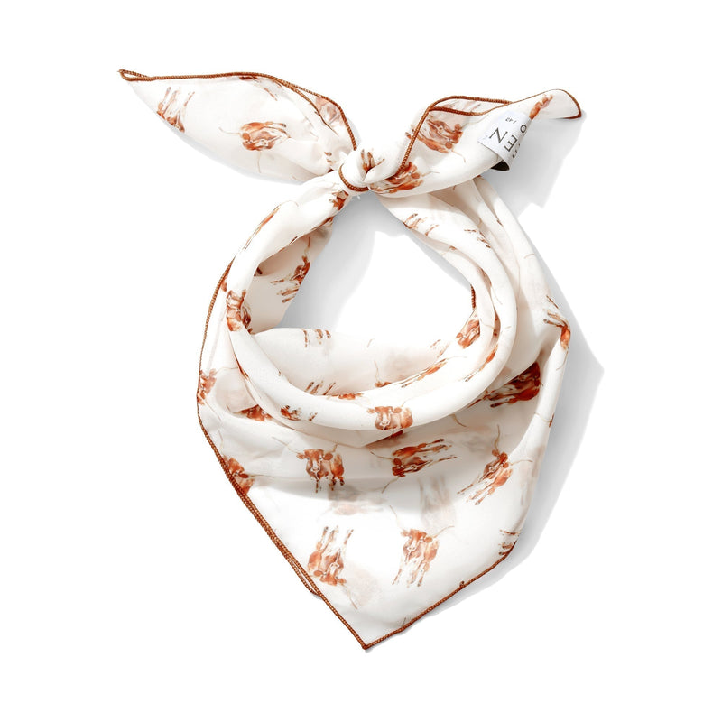 UT Game Day Outfit Ideas: What to Wear to a Texas Football Game