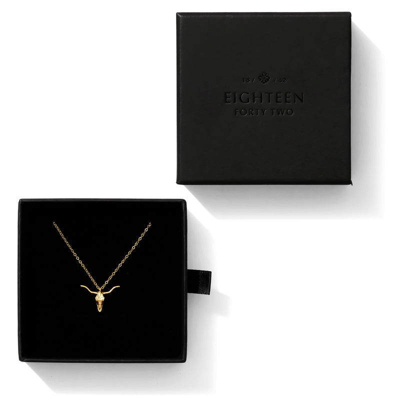 Best Graduation Gifts for UT Grads (Texas-Themed Gift Guide)