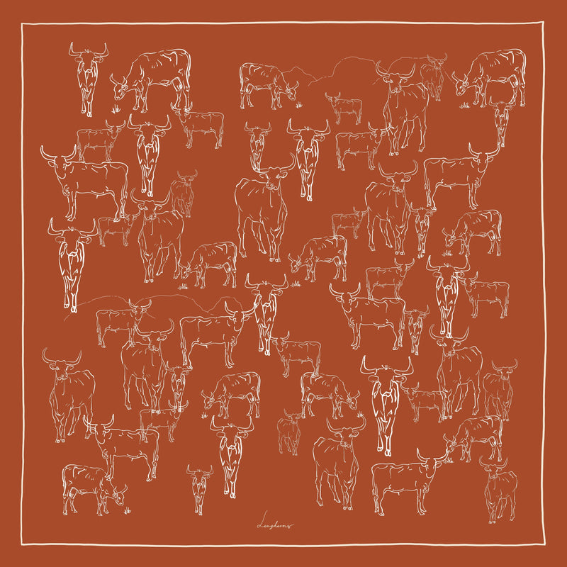 Burnt Orange, Elevated: The Longhorn Scarf You’ve Been Waiting For