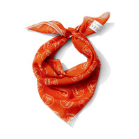 Burnt orange Give 'Em Hell chiffon scarf styled as Texas game day neck scarf