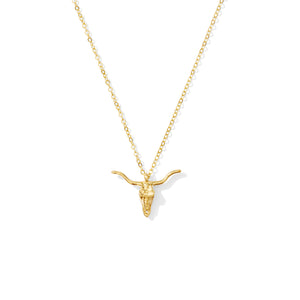 Small Longhorn Skull