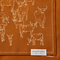 Burnt orange Texas Longhorn silk scarf styled for elevated game day fashion