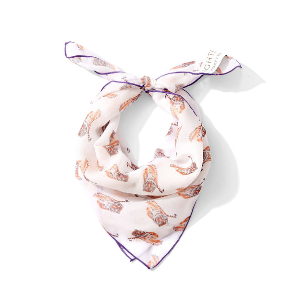 Orange Tiger Chiffon Scarf with Purple Edging | 20" Square Scarf