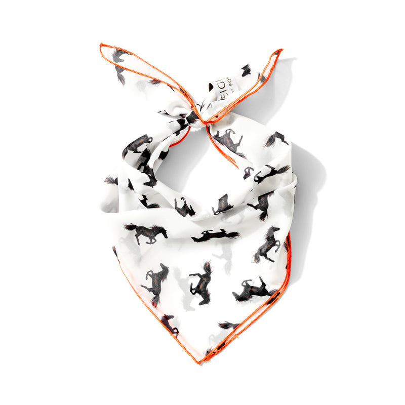 Black Horse Chiffon Scarf | 20" Square Scarf